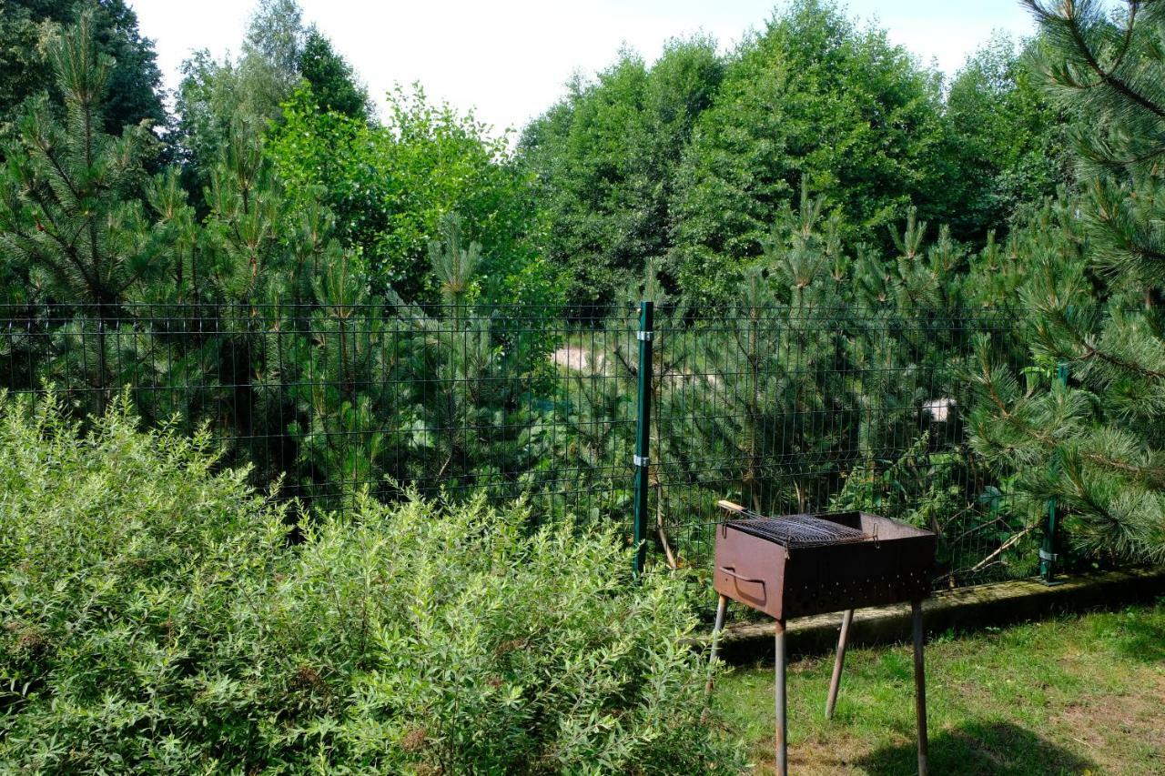 Geltondvaris Palanga Exteriör bild